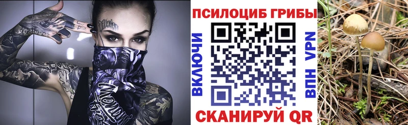 Псилоцибиновые грибы Psilocybe  наркотики  Лобня 